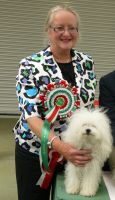 Virginia Dowty with Bolognese Star Audrey at Havanese Stars