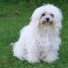 Daphne 3 ans