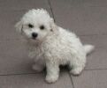 Lenny  2 mois