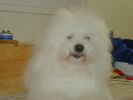 Lenny  12 mois