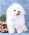 Lenny - Mai 2005