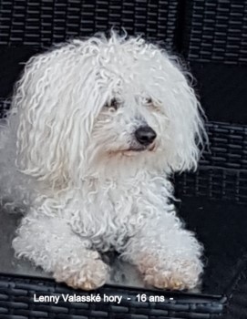Bolognese Lenny Valassk hory - 16 ans le 02.03.2019