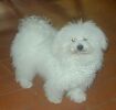 Lenny  10 mois